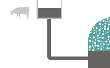 Description of how a biodigester works