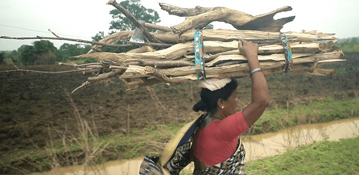 Indian woman carrying wood on her head